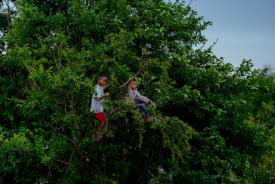 A young child engaged in outdoor play that requires some physical challenge or problem-solving, such as climbing, balancing, or navigating natural terrain
